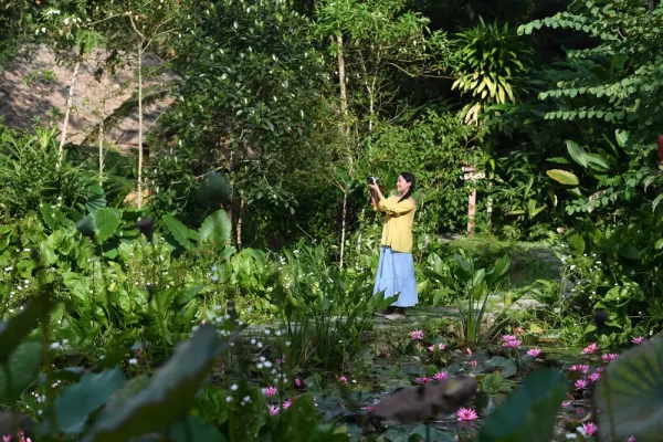 Phóng viên Giang Châu